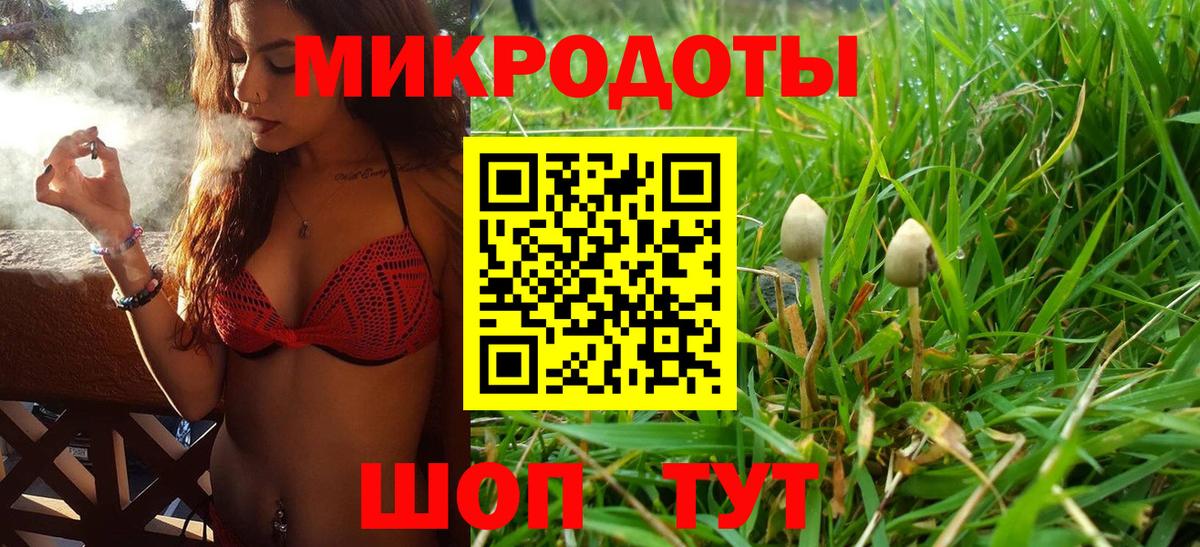 Галлюциногенные грибы Psilocybe  Галлюциногенные грибы GOLDEN TEACHER  Майский  Вход с VPN 