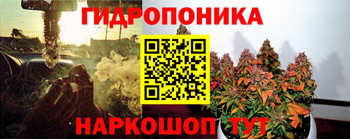 Каннабис план Майский